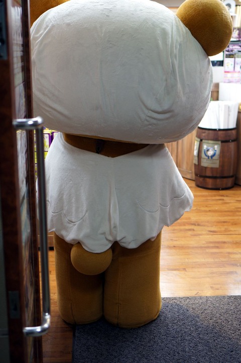 DSC05954