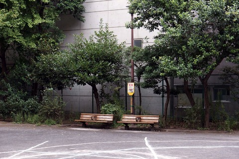 DSC02998
