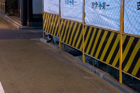 20130324-02784