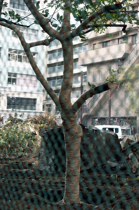 DSC04073
