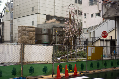 20130324-00921