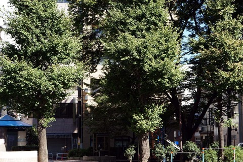 DSC02931