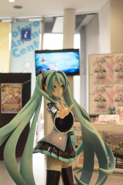 DSC00895