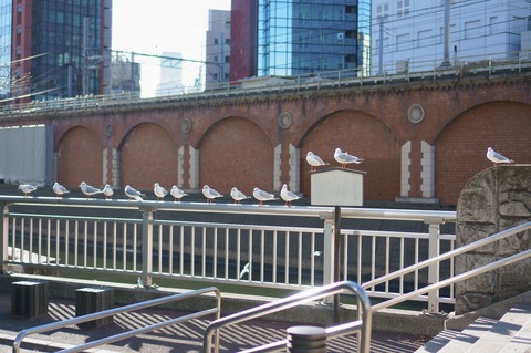 DSC06998