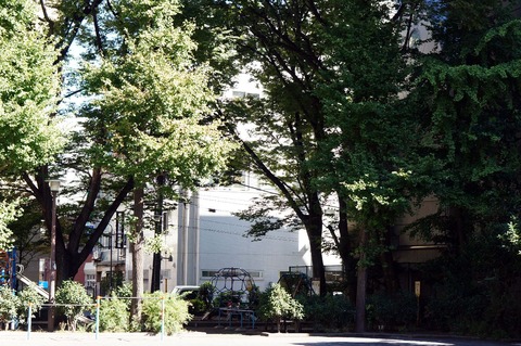 DSC02930