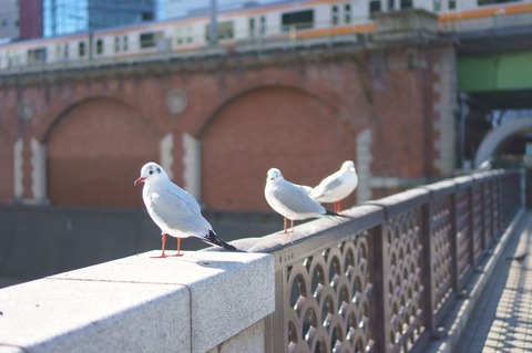 DSC07008