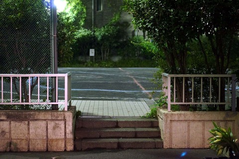 DSC03064