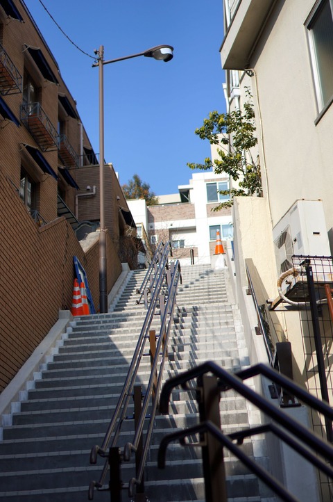 DSC07237