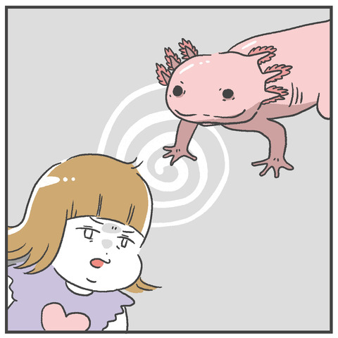 250609_ウーパールーパー事件05