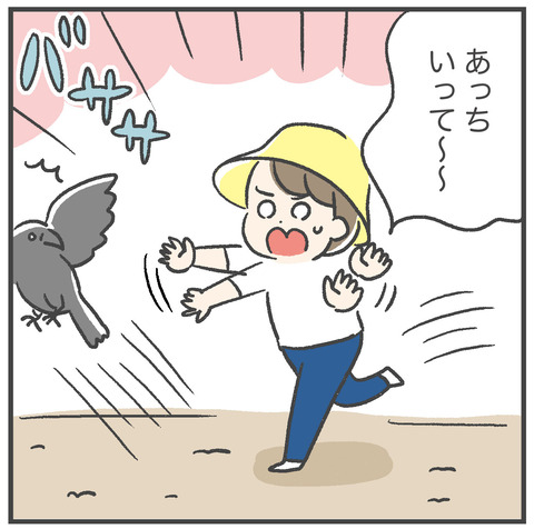 230605_カラスに襲われた04