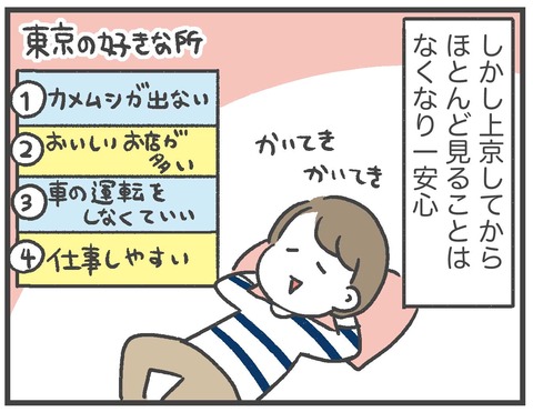 201012_カメムシ襲来03