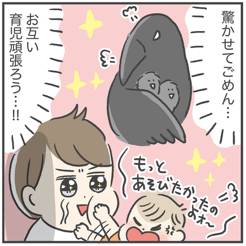 230605_カラスに襲われた02_07