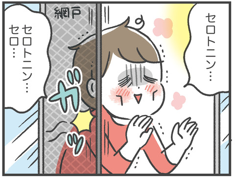 210304_網戸バン05