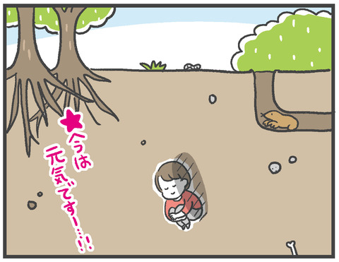 210304_網戸バン08