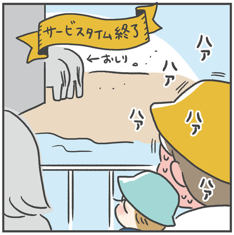 230910_初めての象さん06