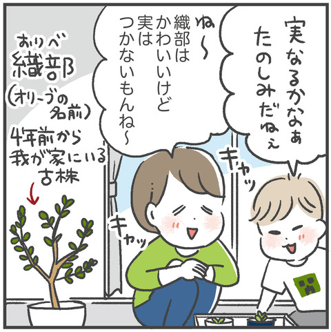 220510_オリーブ03