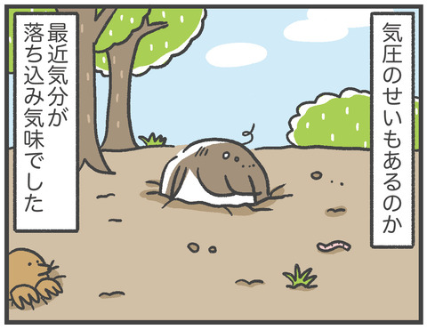 210304_網戸バン01