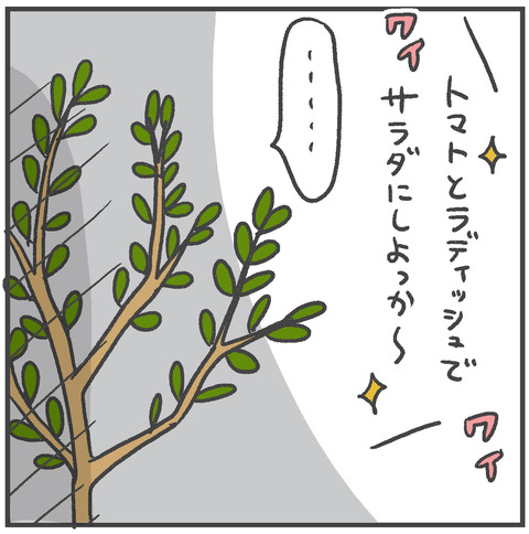 220510_オリーブ04