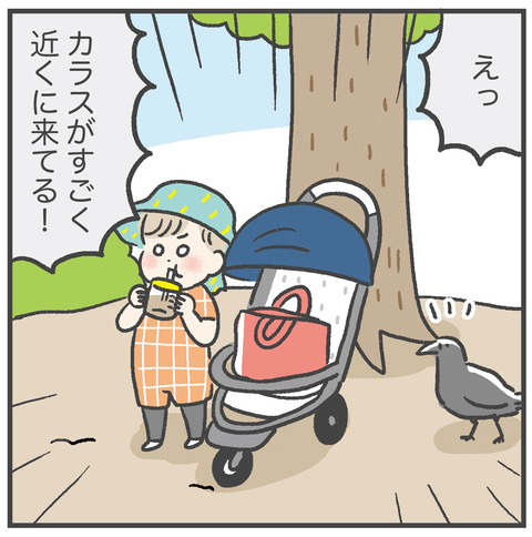 230605_カラスに襲われた03