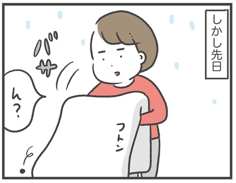 201012_カメムシ襲来04