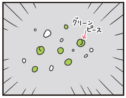 200220_グリーンピース投石05