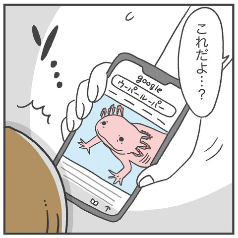 250609_ウーパールーパー事件04