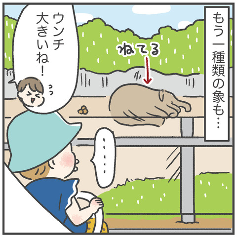 230910_初めての象さん07