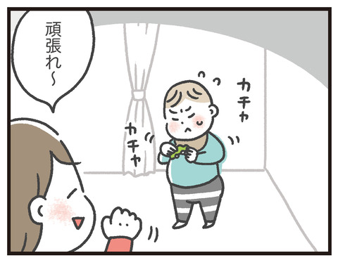 200121_こびとマングース02