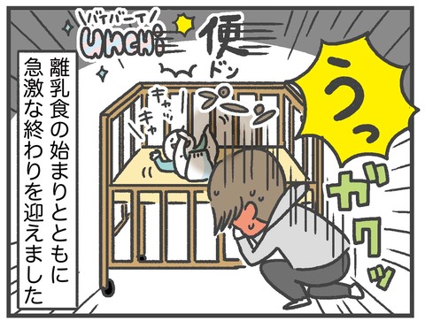 181117うんち04