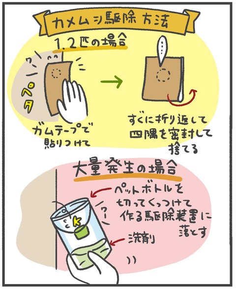 201012_カメムシ襲来09