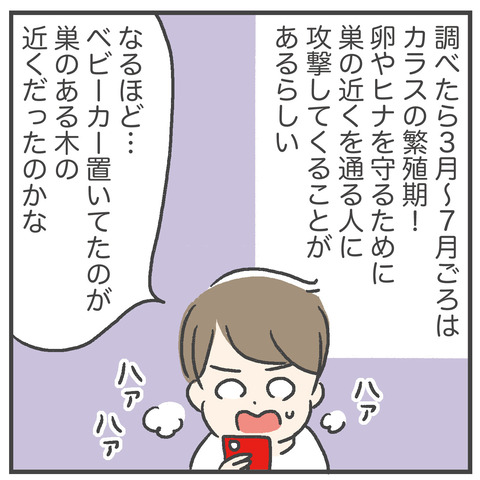 230605_カラスに襲われた02_06