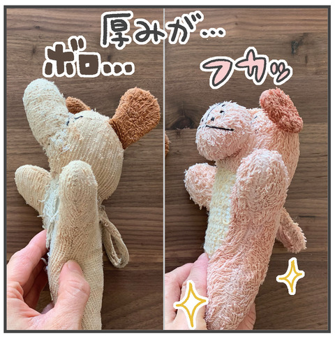 230717_Wわんさん01_08