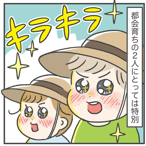 230809_実家帰省03