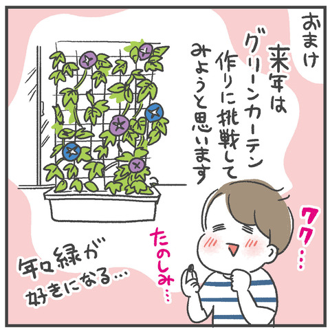 250811_あさがおかわいい05