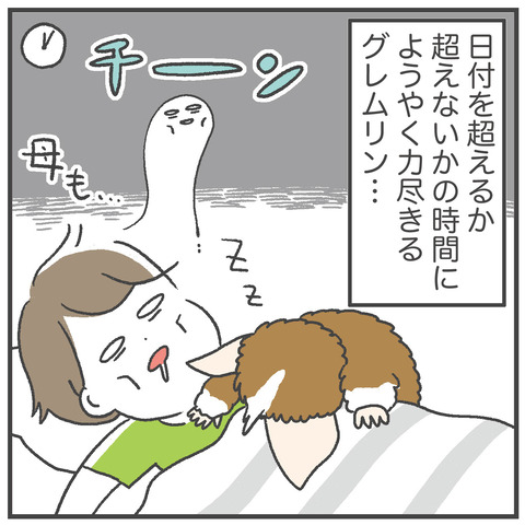 240901_寝ないとりちゃん05