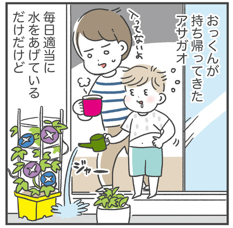 250811_あさがおかわいい01