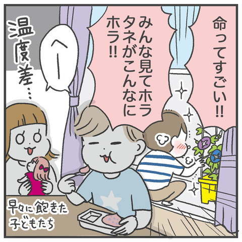 250811_あさがおかわいい04