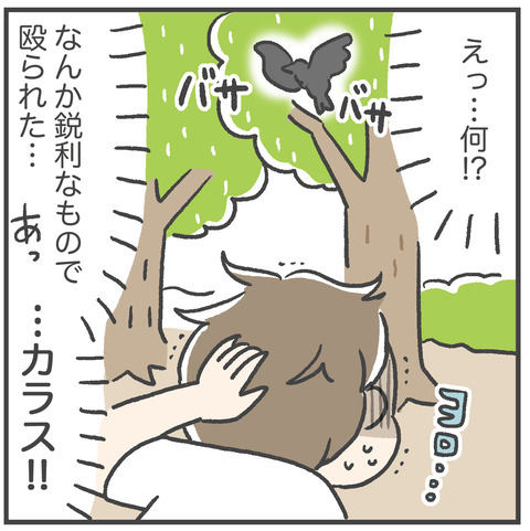 230605_カラスに襲われた02_03