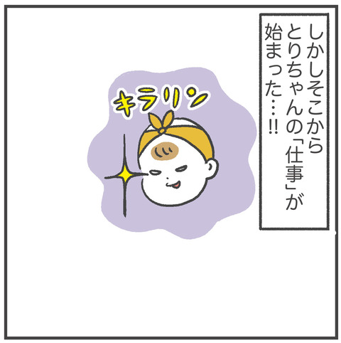 221024とりちゃん神隠し03