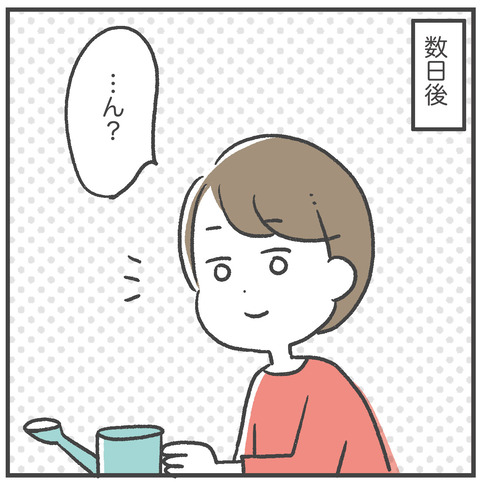 220510_オリーブ05