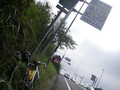IMGP2547