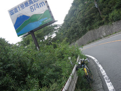 IMGP2541