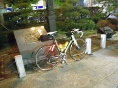 IMGP2536