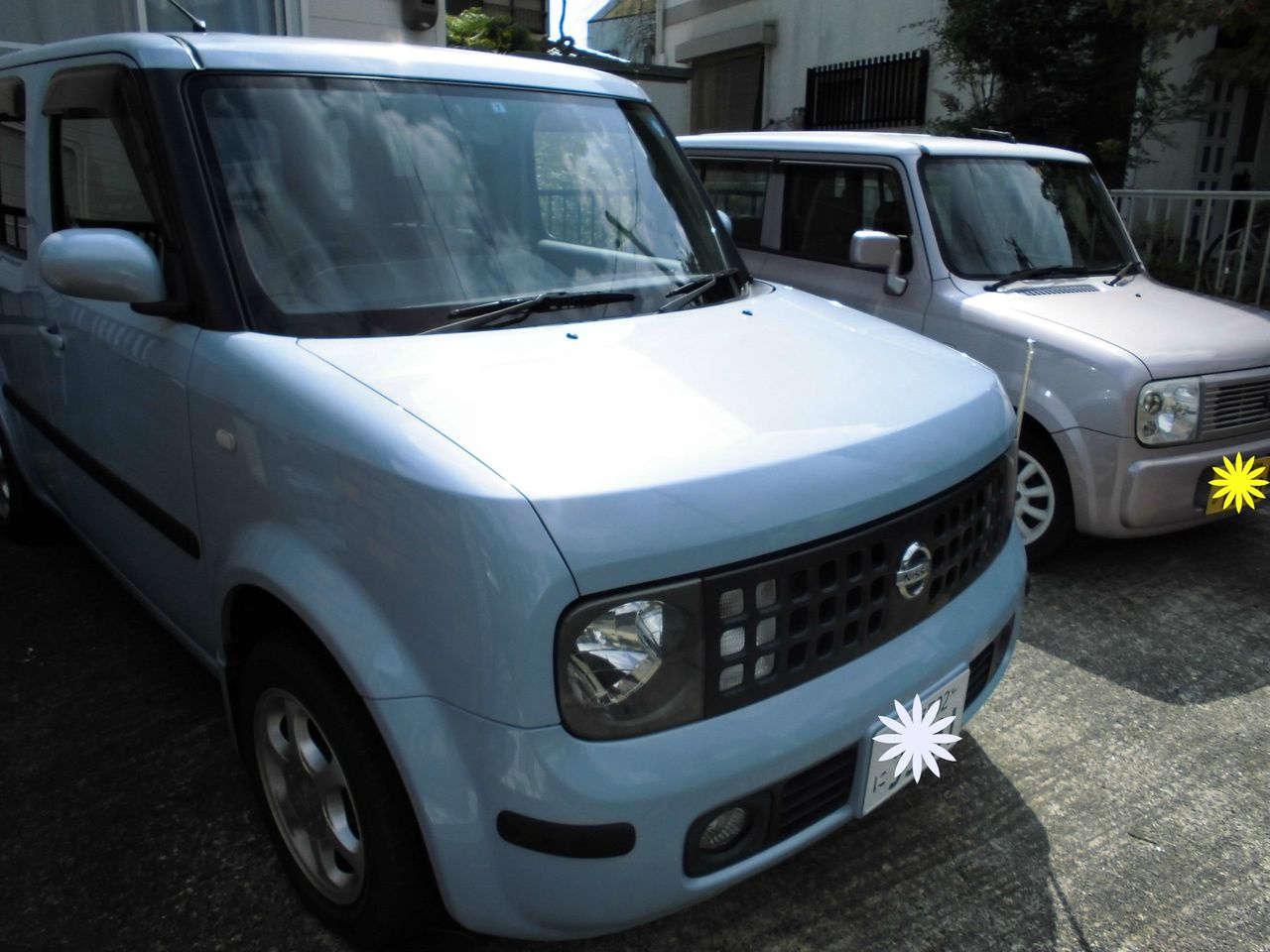 Vｗノベルティ ぼっぼっボルゾイ