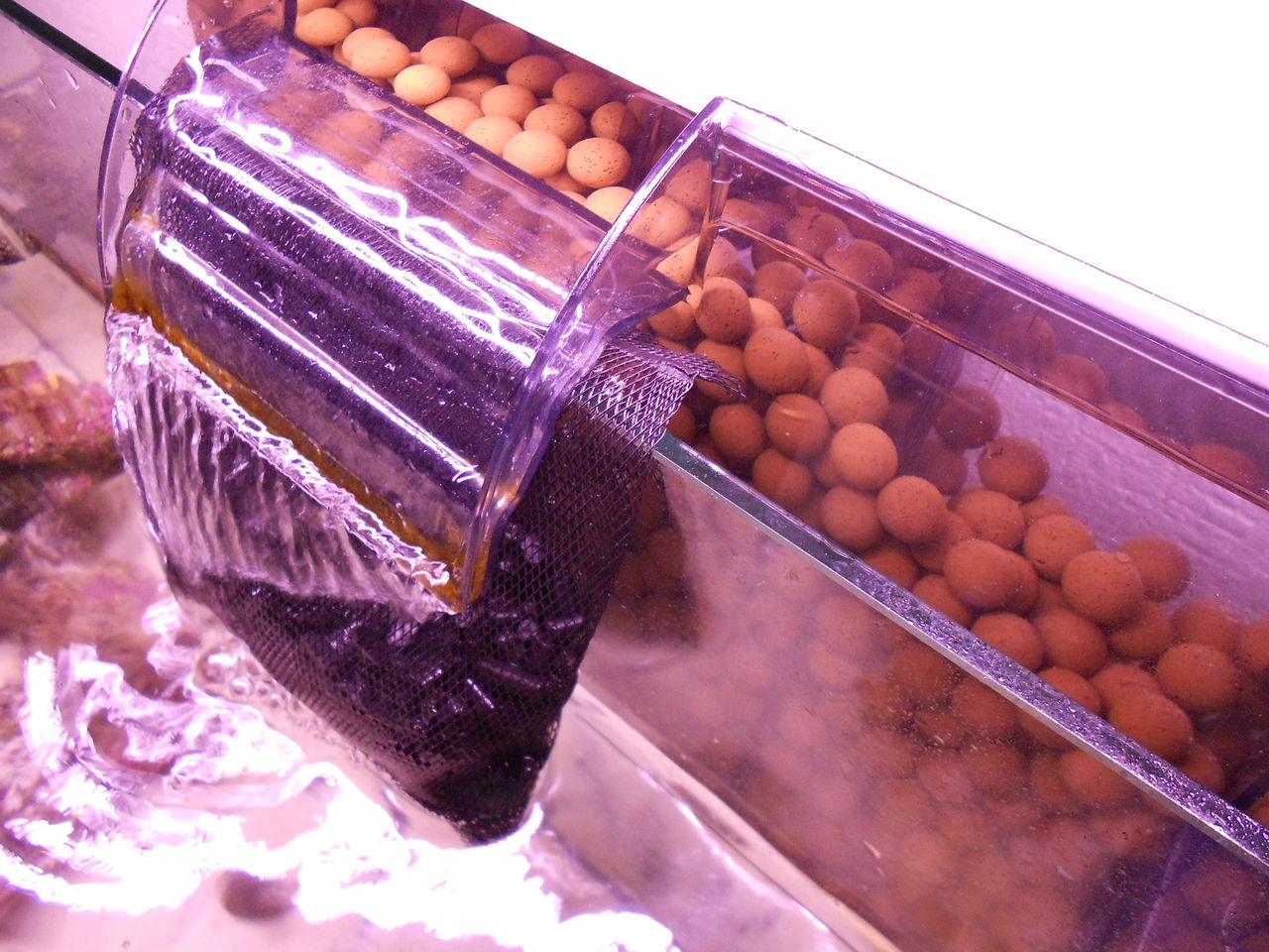黄色い砂対策に活性炭を使ってみた アクアリウム 海水魚と暮らす 黄色い砂対策に活性炭を使ってみた アクアリウム 海水魚と暮らす
