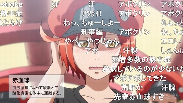 11話 (6)