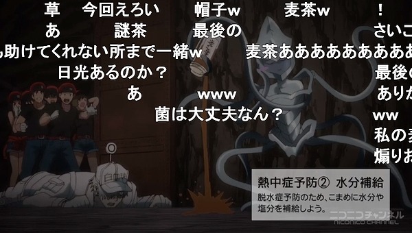 11話 (62)