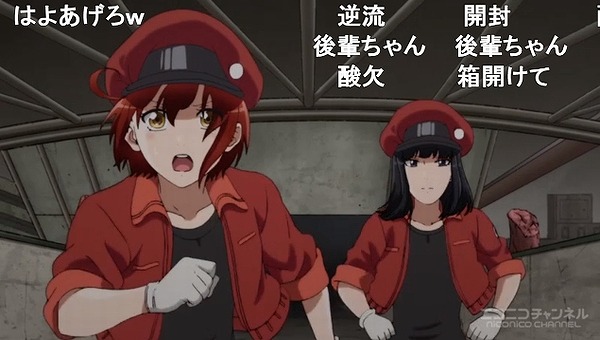 13話 (20)