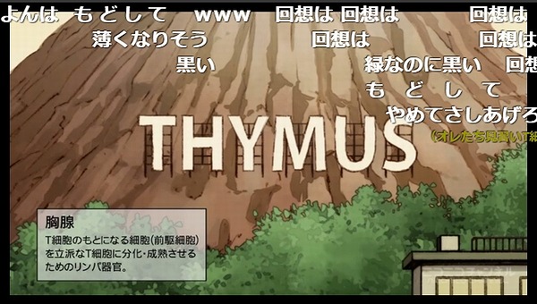 9話 (31)