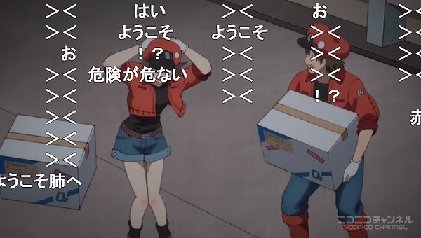 13話 (24)